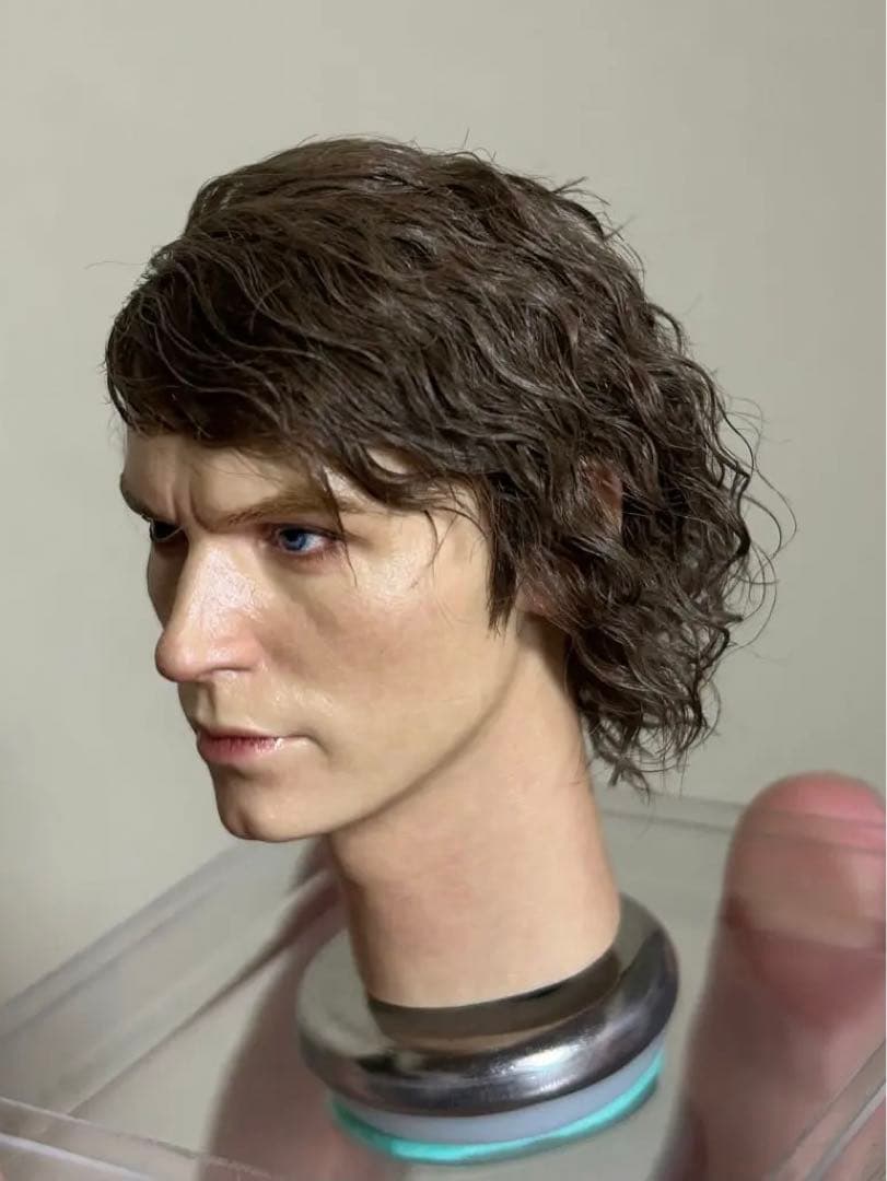 1/6 カスタム植毛ヘッド　スター・ウォーズ　アナキン スカイウォーカー
