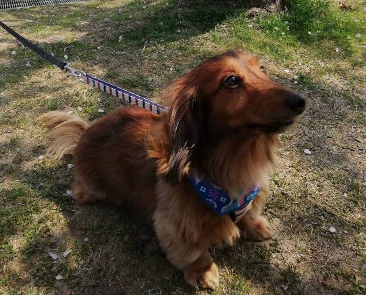 みるく様　画像確認用