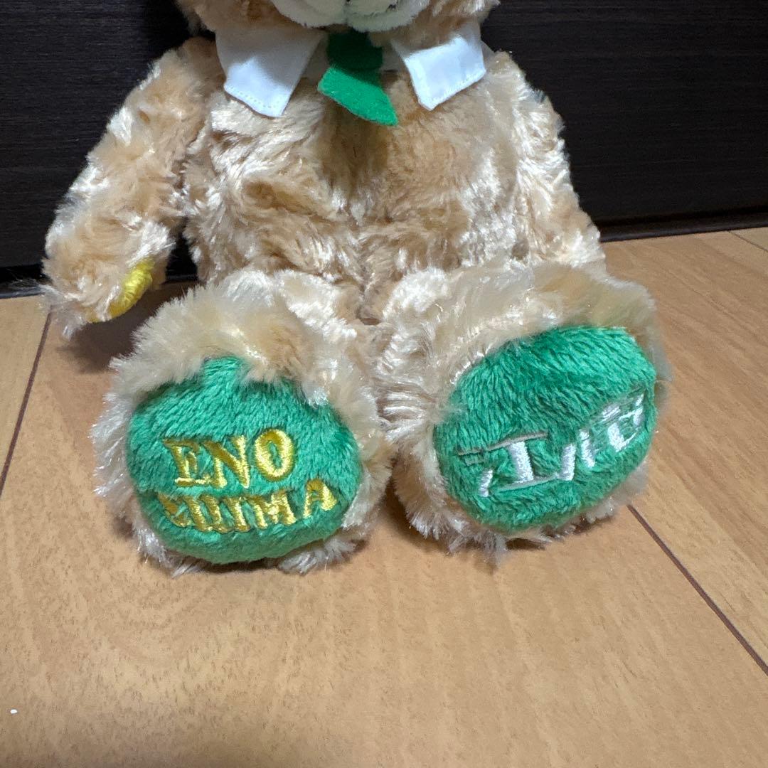 新品タグ付き　江ノ電ベア　神奈川限定　ご当地ベア　ぬいぐるみSサイズ　テディベア