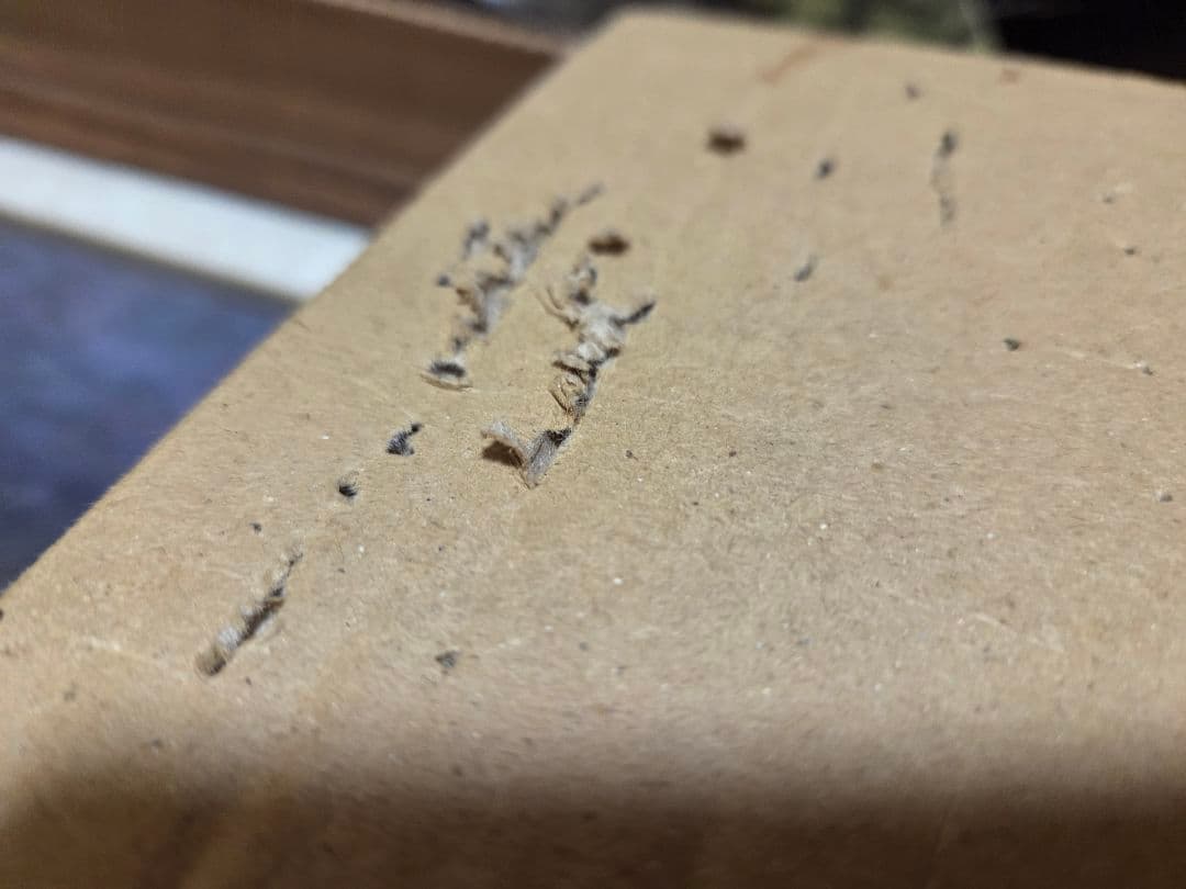 久保幸造画伯　油絵　「猫のいる風景」 サイン入り