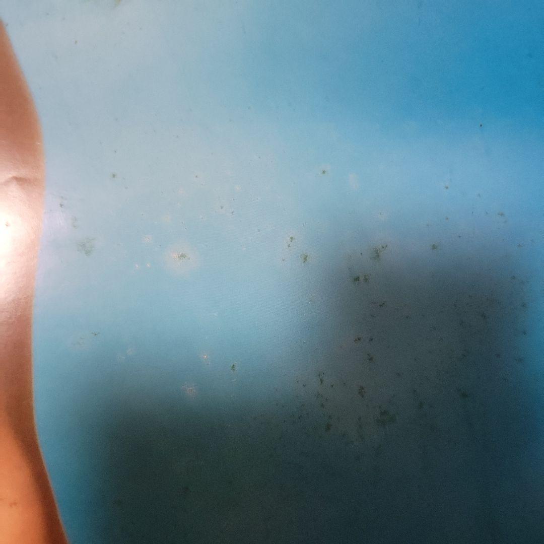 かとうれいこ　1992年カレンダー　水着ビキニ