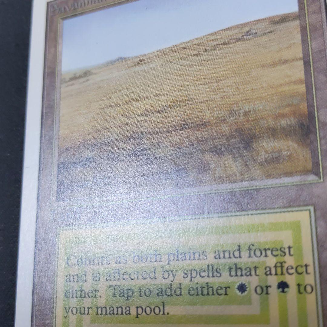 ●【貴重】【やや擦れアリ】Savannah　２ED　英語１枚