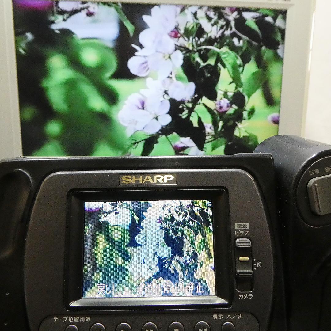 動作良好　Video8　シャープ　VL- EL310　8ミリビデオカメラDVD化