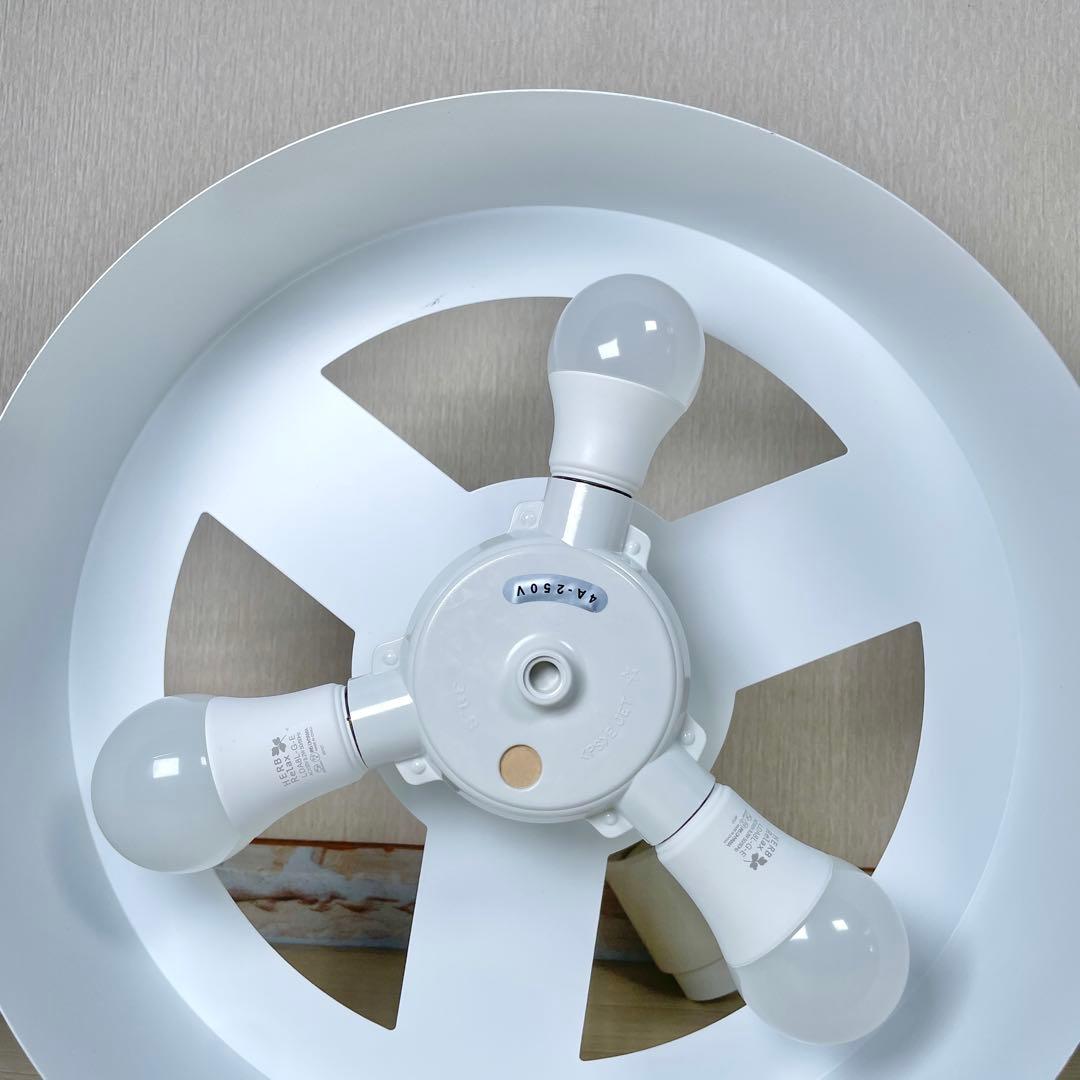 BRID OLIKA LAMP 3BULB オリカ ランプ 3バルブ ペンダント