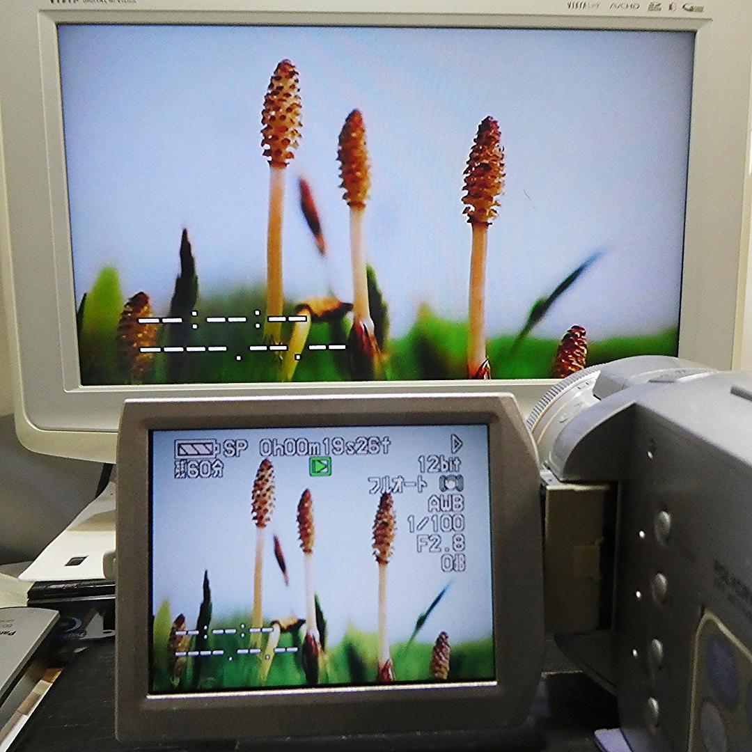 動作良好 パナソニック NV-GS400 MiniDVビデオDVDダビングに最適