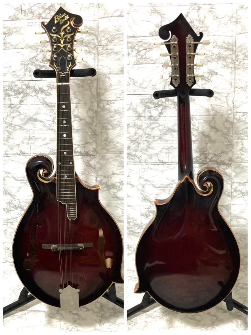 【希少】BlueBell フラットマンドリン 高級 F-15 小坂部氏サインあり