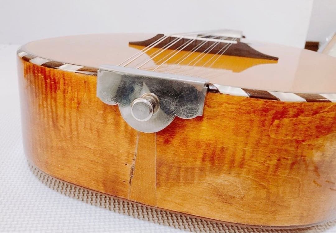 【超希少 メンテ済】L.PATENOTTE Lutheir マンドセロ 12弦