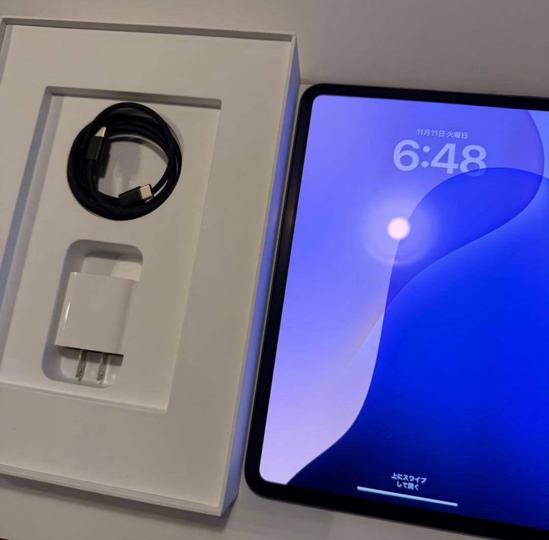 【ほぼ未使用】Apple iPad Pro 11インチ M4 256GB
