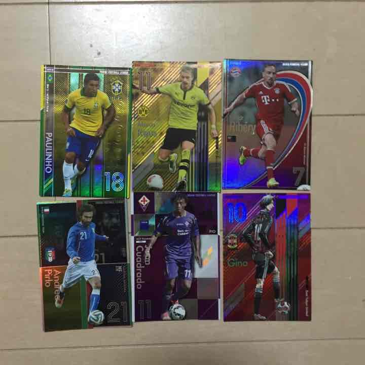 PFL パニーニ 引退 バラ売り