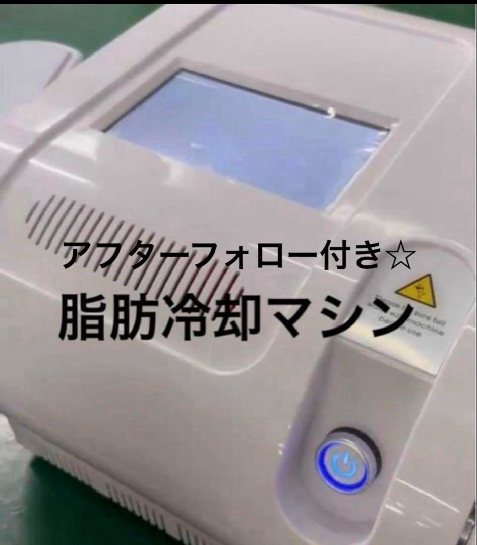 いまだけ冷却シートプレゼント　冷却　脂肪冷却 2ハンドル