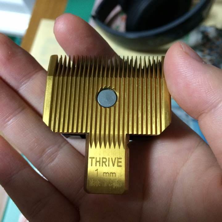 トリミング用具一式