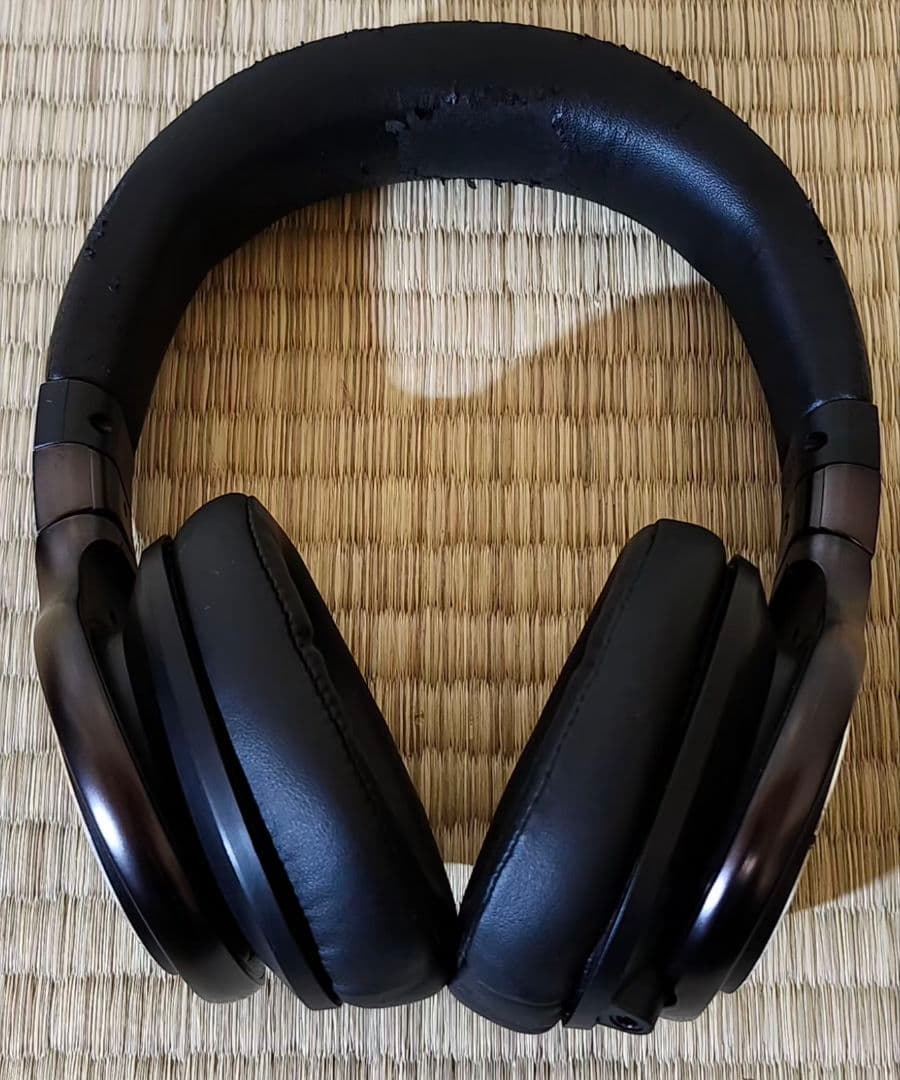 Panasonic RP-HD10【動作確認済み】