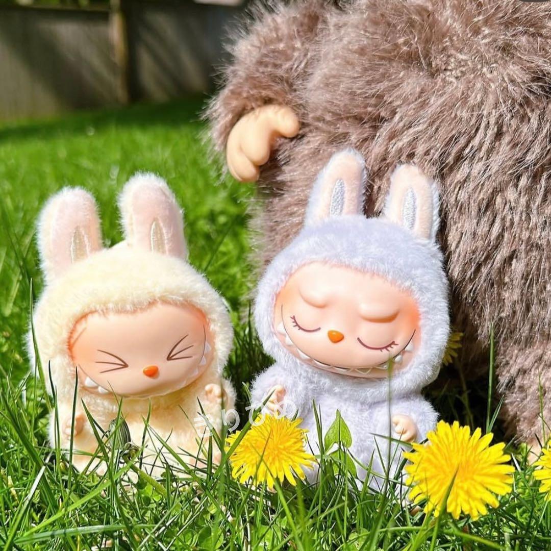 【特別価格】Popmart LABUBU ぬいぐるみ 2点セット 新品未開封