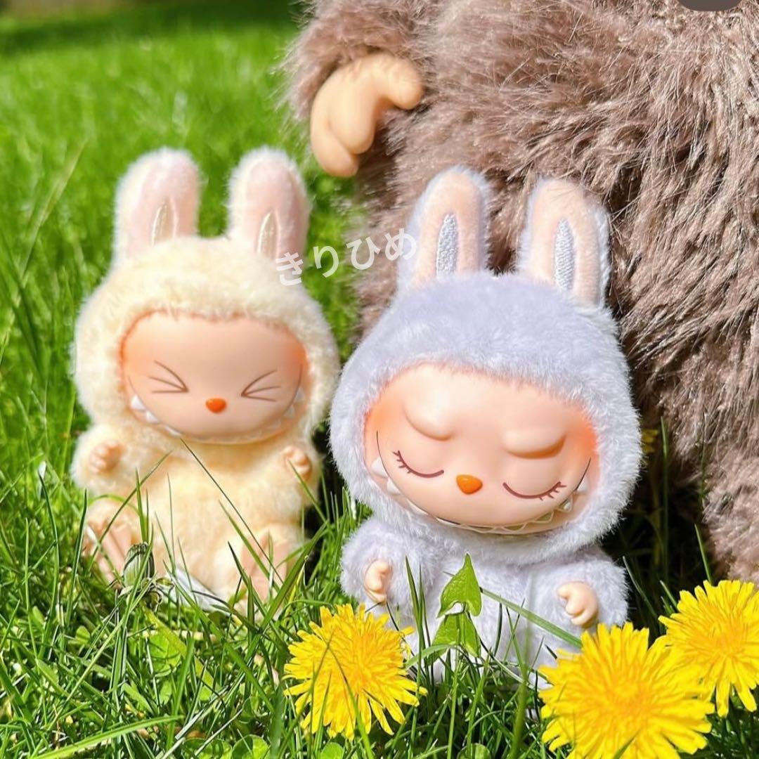 【特別価格】Popmart LABUBU ぬいぐるみ 2点セット 新品未開封