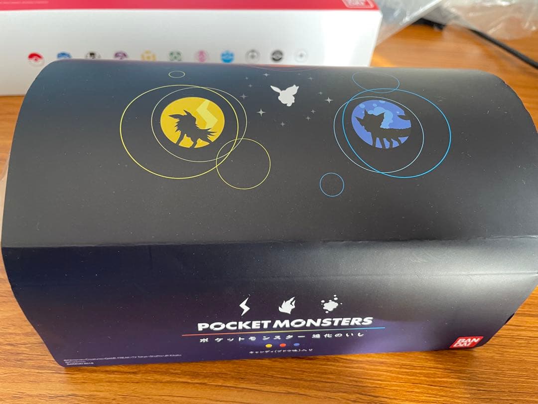 ポケモン　進化のいし