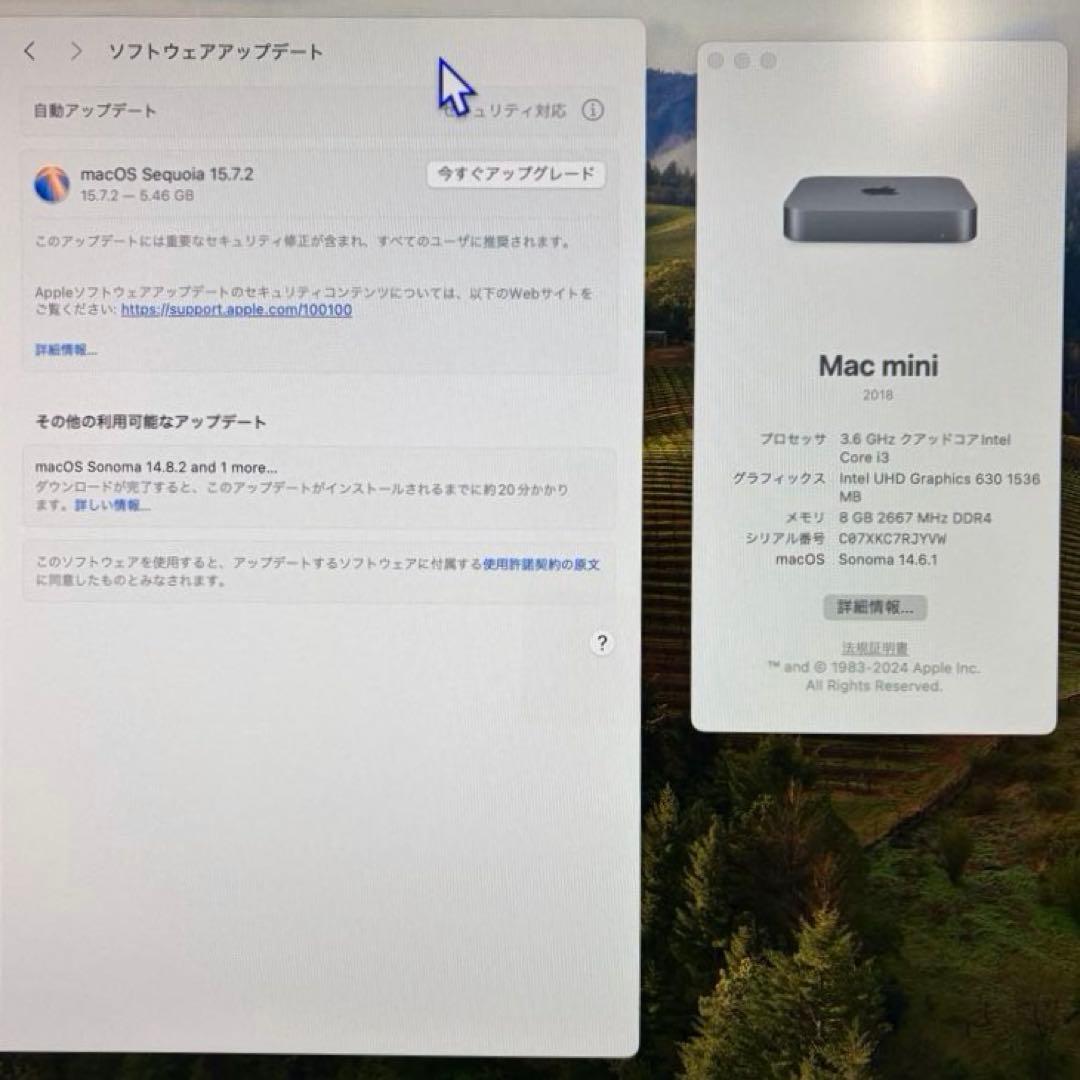 eriiiii 様　Apple Mac mini