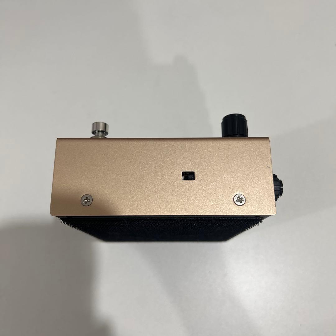 ギター free the tone FF-1Y