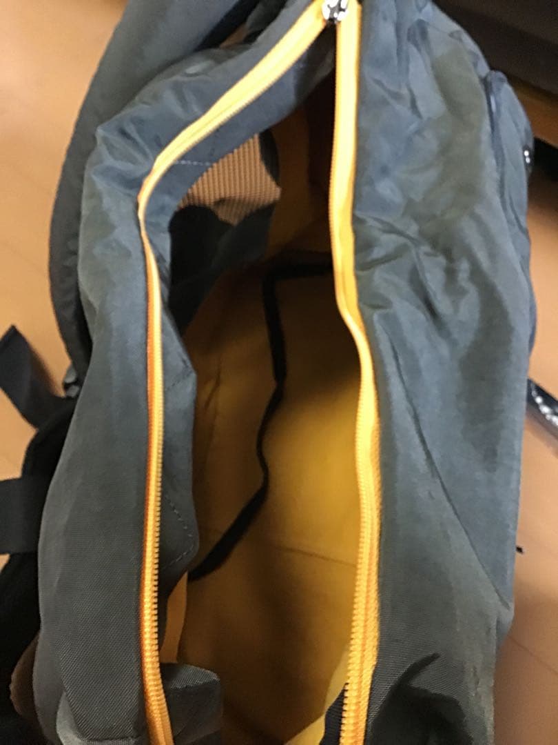 【美品】キャリー　犬猫　お出かけ　キャリーリュック　inside dog cat