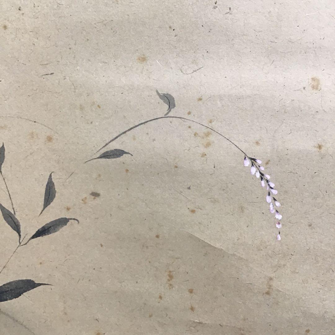 K茶道具　掛軸　「水邊(池蛙)」　双年作　共箱(一部削れ有り)　S215KJ