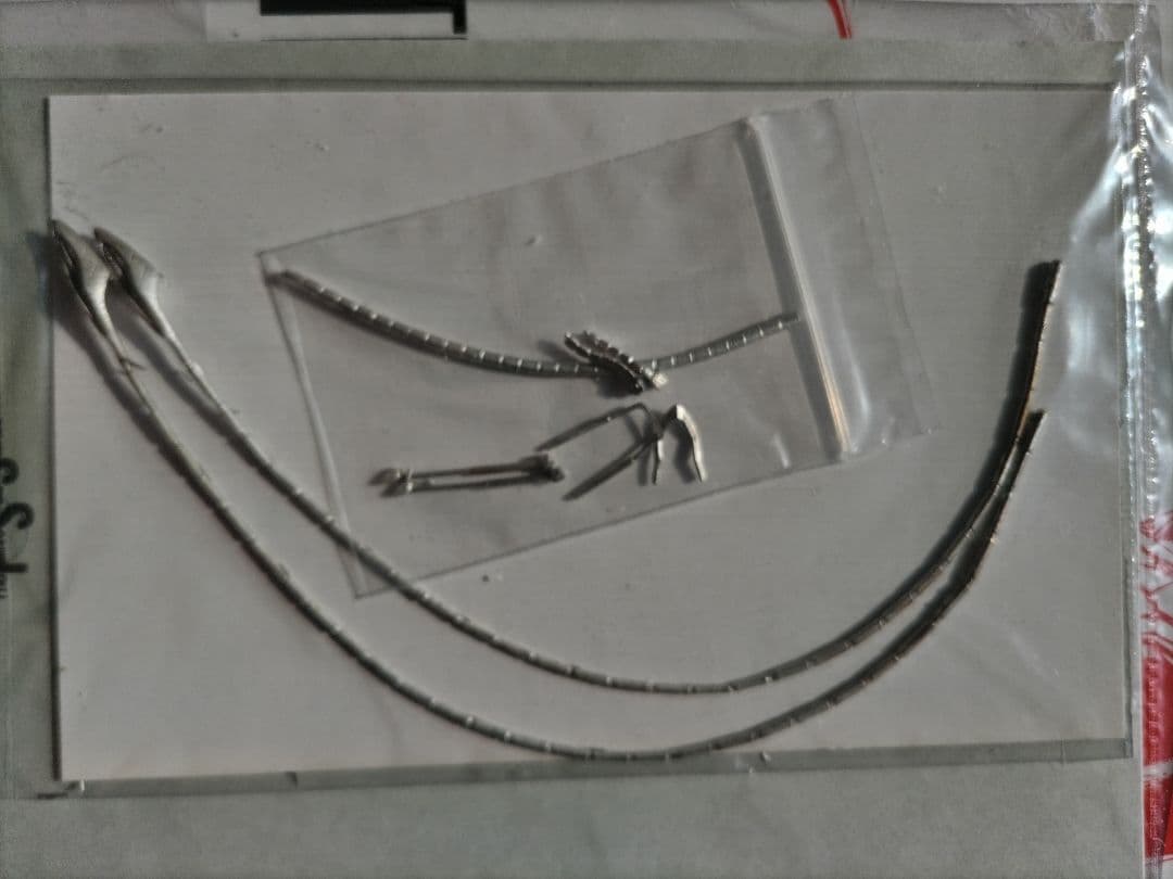 ロボット 1/100 Prototype K.O.G. AUGE/ALUUSQULL