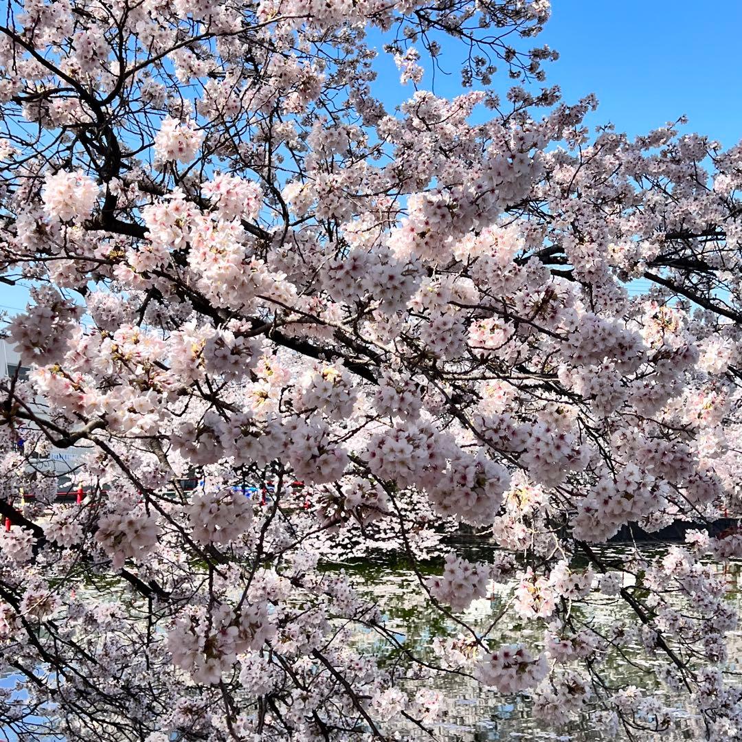 ななページ 3点