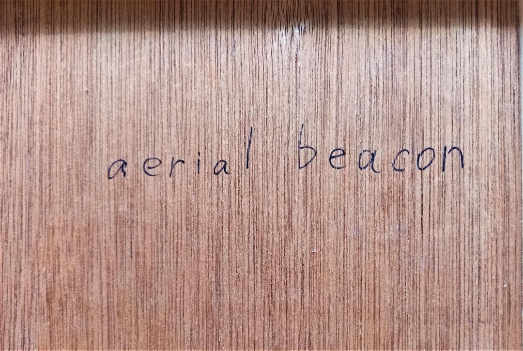 作者不詳　仮タイトル「ドレスを着た婦人図」Ｆ8号油彩画金が使われた豪華装飾　額装