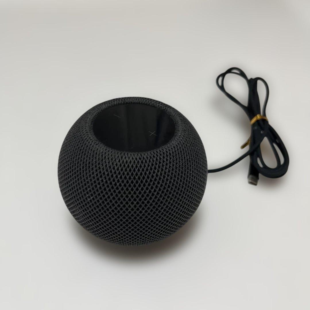 Apple Pod mini MY5G2J/A ブラック