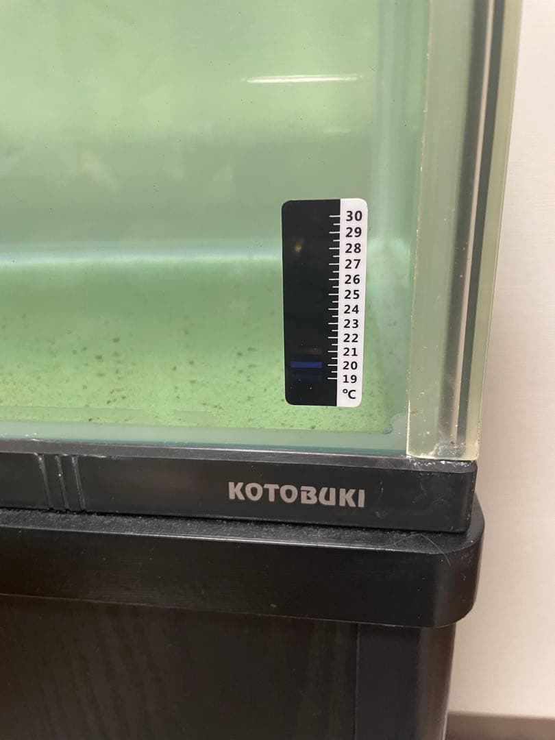 コトブキ1200水槽