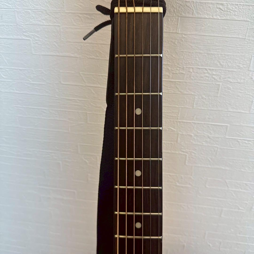 Lumber ランバー アコースティックギター　LFG10NA