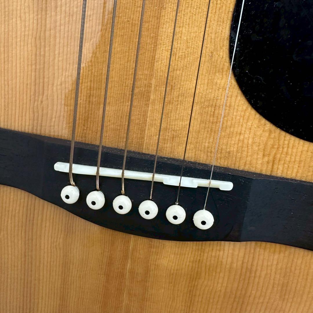 Lumber ランバー アコースティックギター　LFG10NA