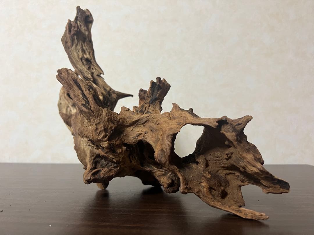 HX-003 流木　ホーンウッド　マシンガンウッド　アクアリウム　ブランチウッド