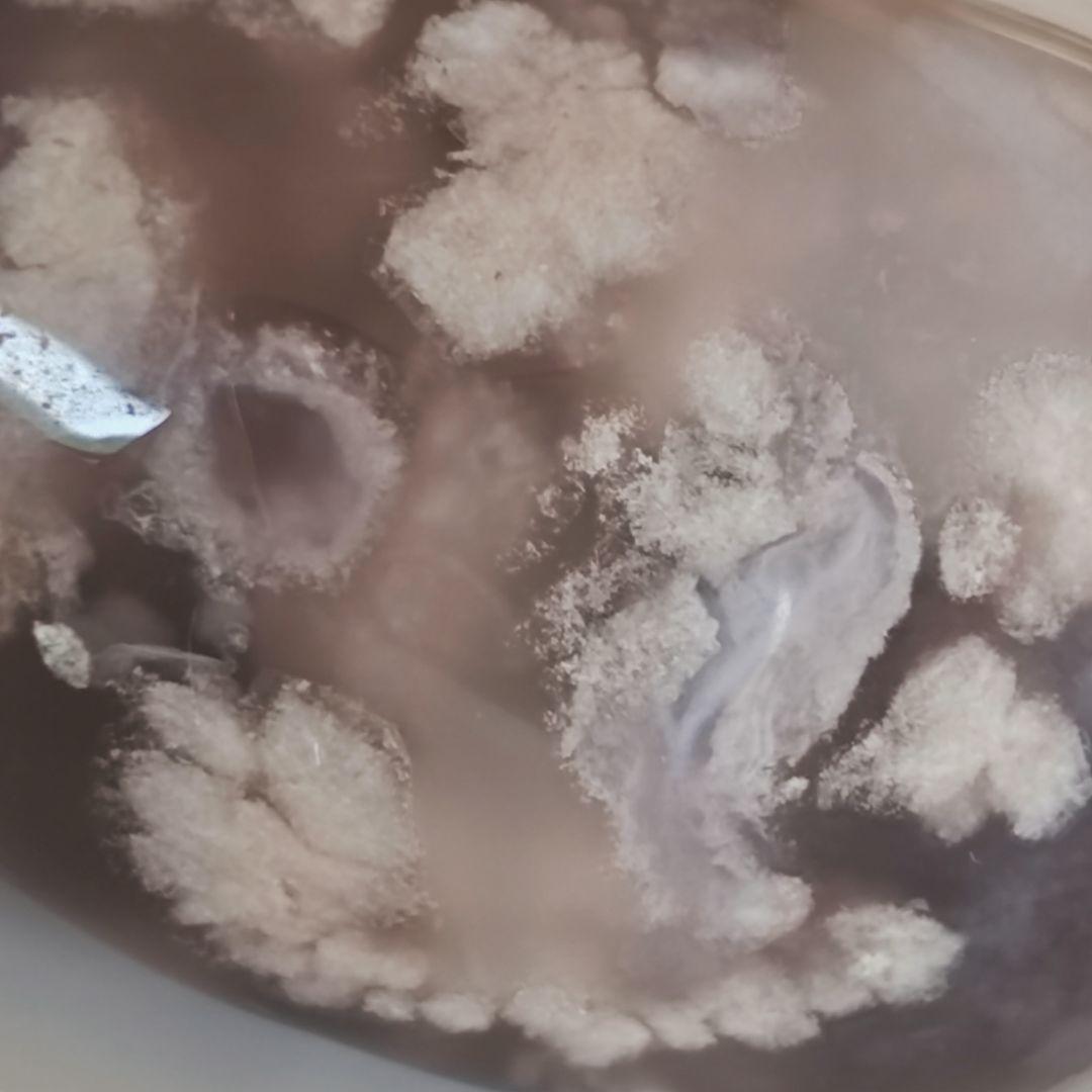 専用です♡新作♡黒桜瑪瑙どんころ＆グレー桜瑪瑙ブレス