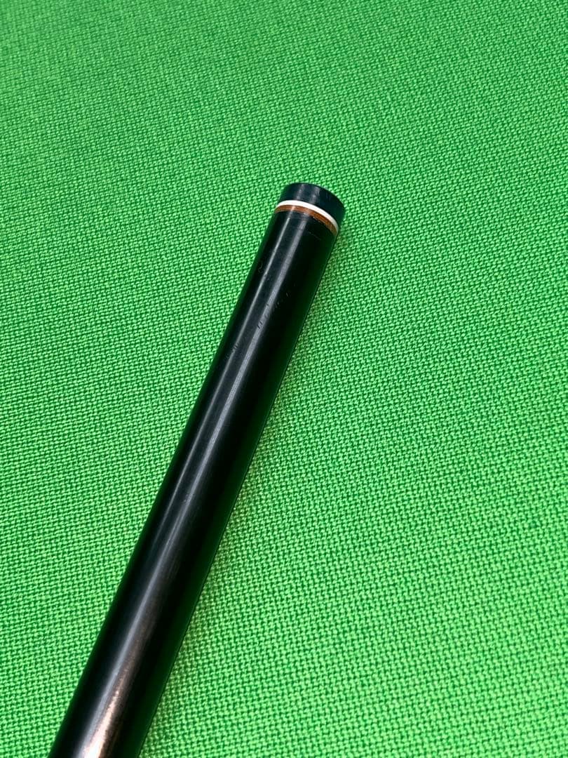 コモドドラゴン様