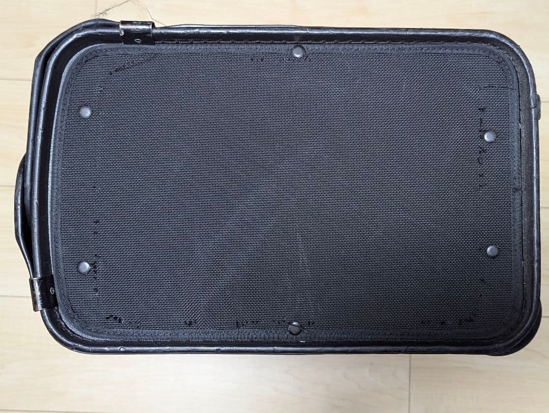 ANA 全日空 パイロット フライトバック