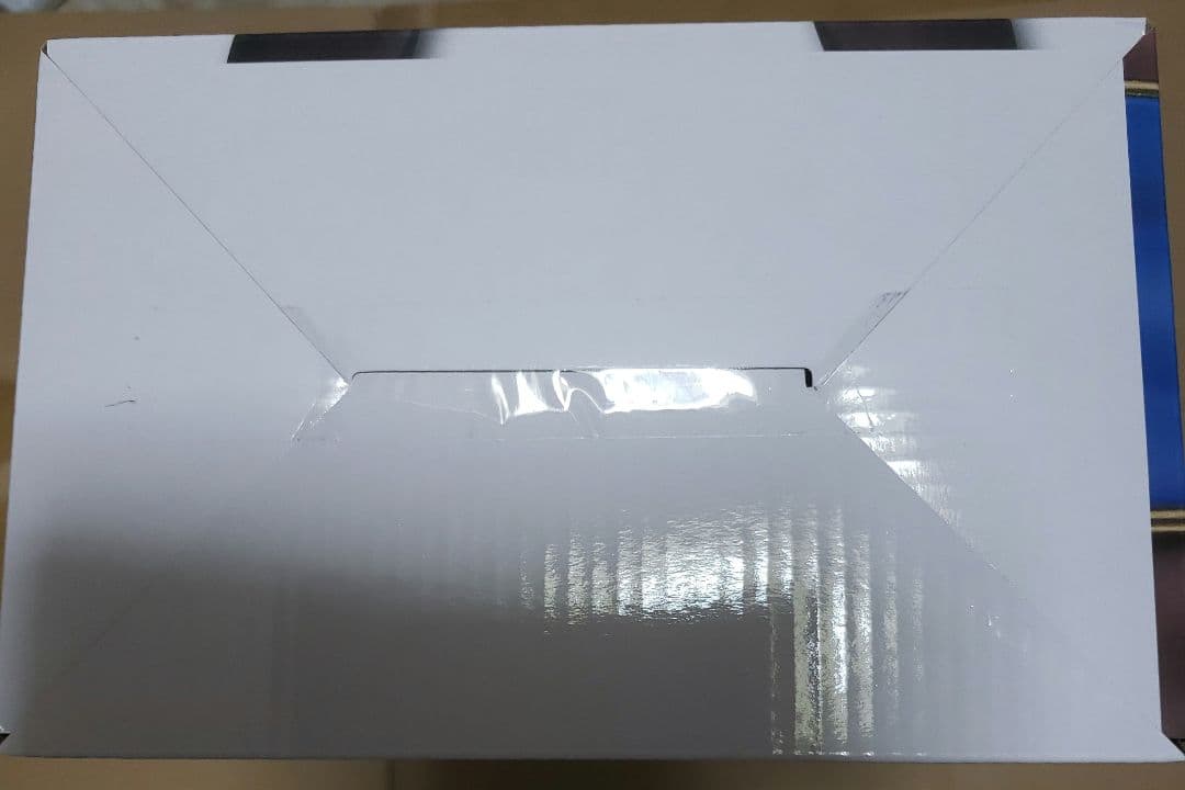 ストリートファイター一番くじA賞、ラストワン