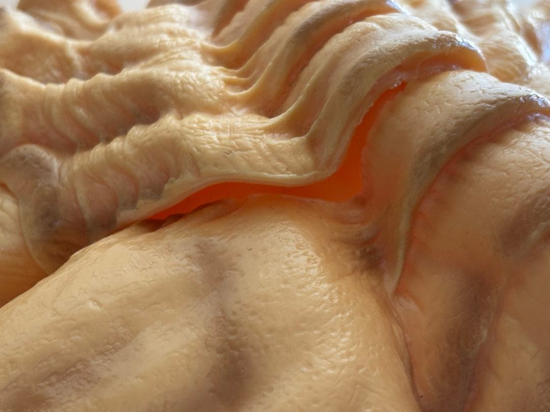 ALIEN/フェイスハガー/フィギュア/エイリアン/原寸/ソフビ/アオシマ/箱付