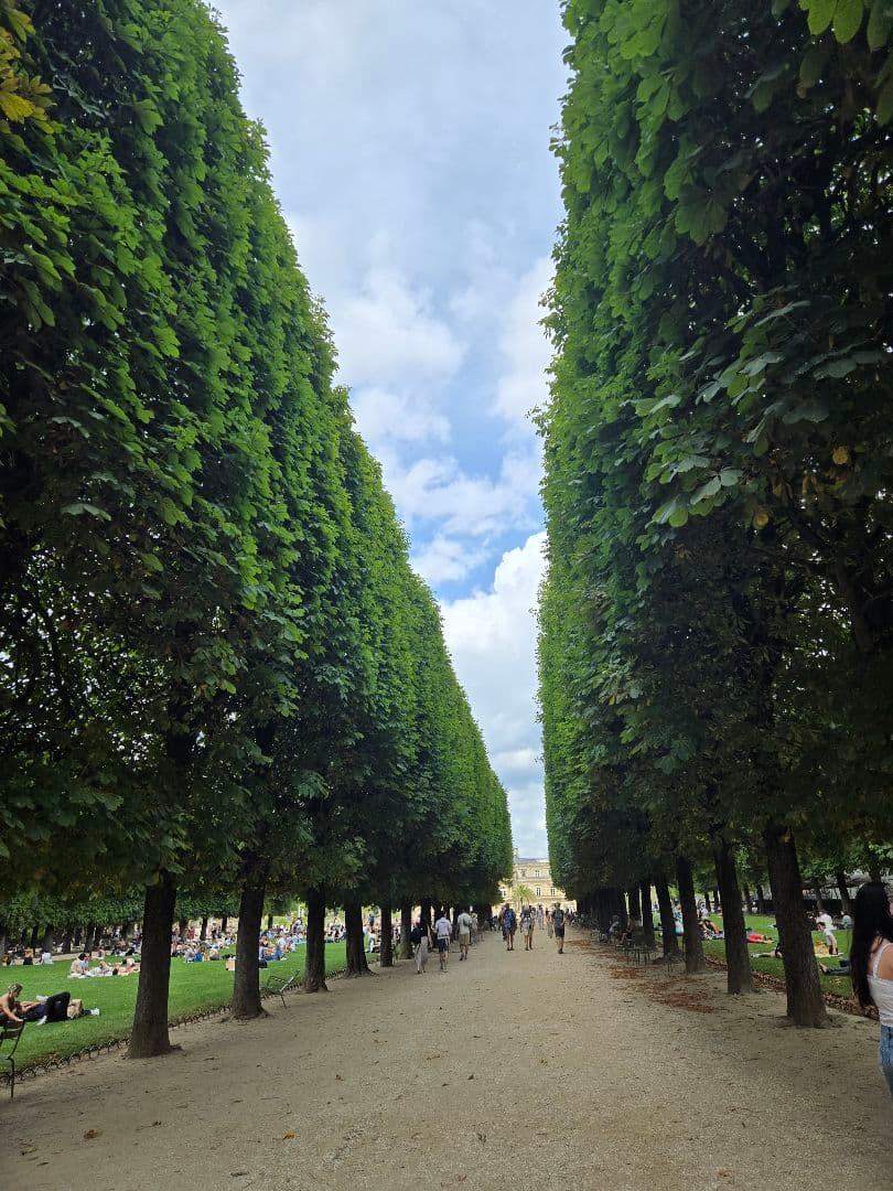 tさん専用　GlenAllachie 15年 シングルモルトウイスキー