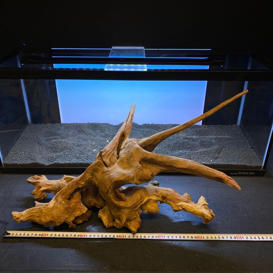 MRW-6371 特大流木　1点物自立　90cm水槽用　アクアリウム　爬虫類