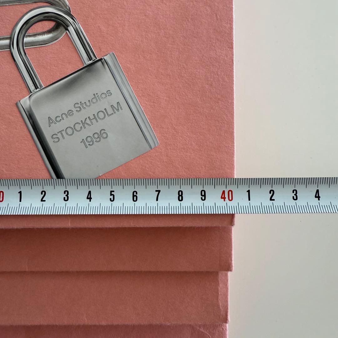 Acne Studios ショッピングバッグ 25枚セット