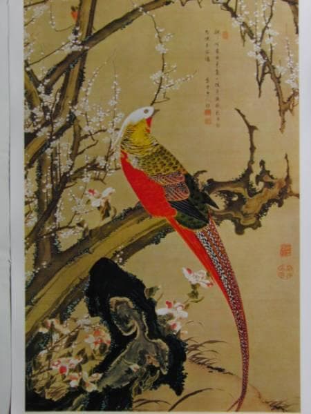 伊藤若沖、白梅錦鶏図、超希少・大判画集画、新品高級額装付