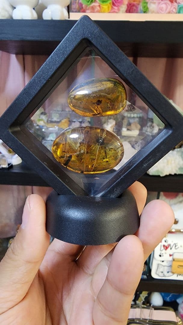 アンバー　琥珀のコレクション ダイヤモンド型フレーム付き