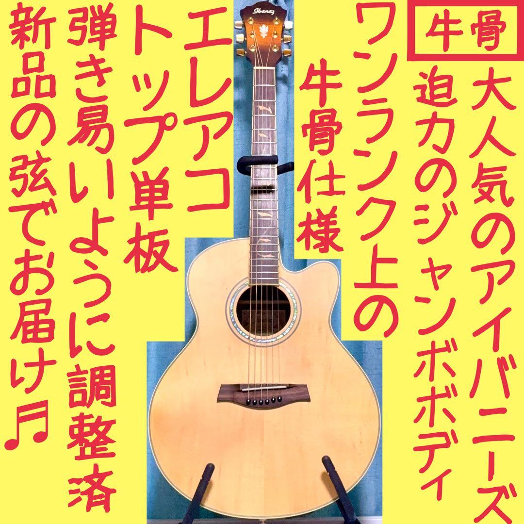【牛骨☆エレアコ】Ibanez☆アイバニーズ【弾き易く調整☆新品の弦】