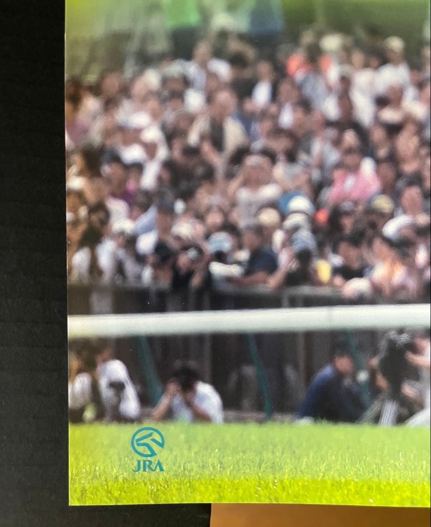 JRA ヒーロー列伝 ポスター　No.65 ウォッカ