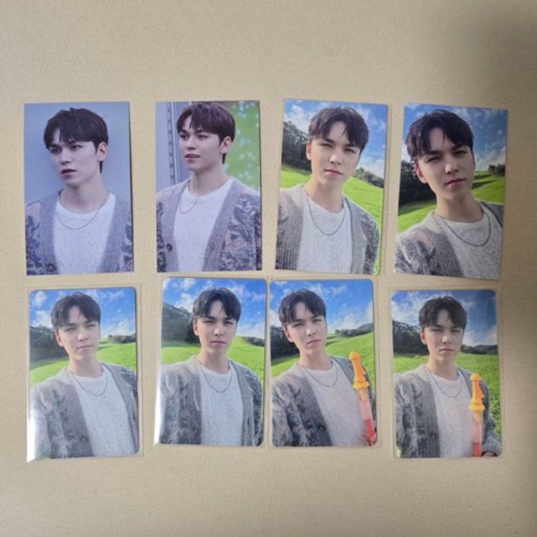 SEVENTEEN バーノンまとめ売り VERNON