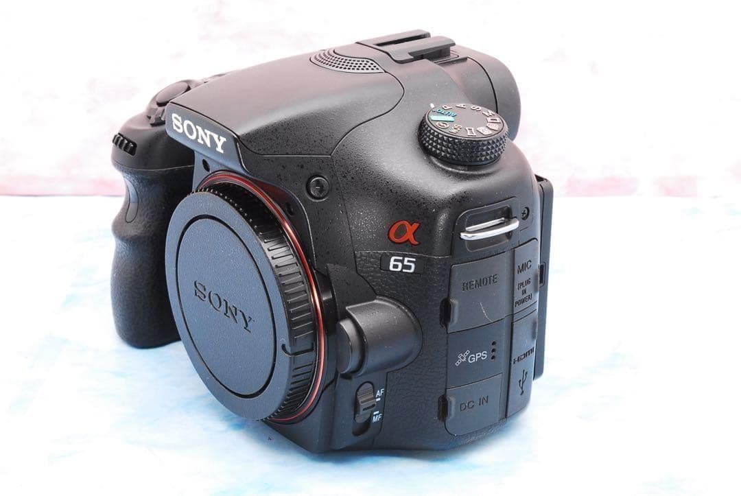 ソニー α65★一眼レフカメラ★高速連写＆高画質★超望遠レンズ付Wレンズ