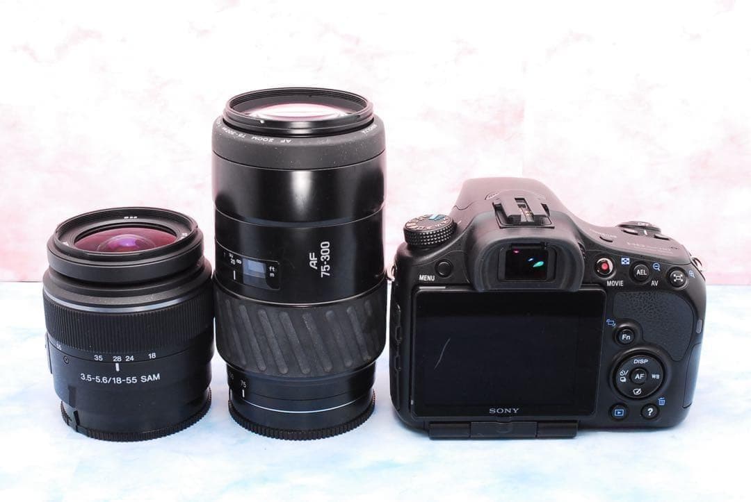 ソニー α65★一眼レフカメラ★高速連写＆高画質★超望遠レンズ付Wレンズ