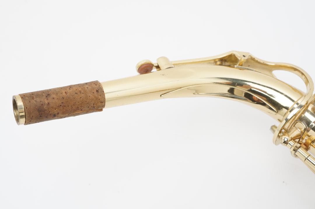 ジャンク品扱い Selva サックス