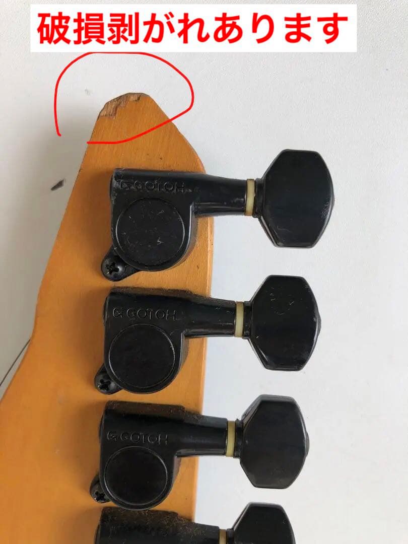 Fernandes(フェルナンデス) (D177)