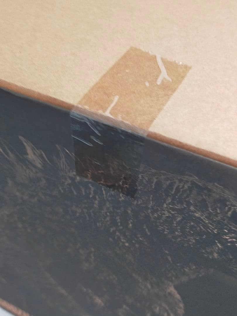 新品未使用　東宝大怪獣シリーズ　ゴジラ　2019 少年リック限定版　エクスプラス