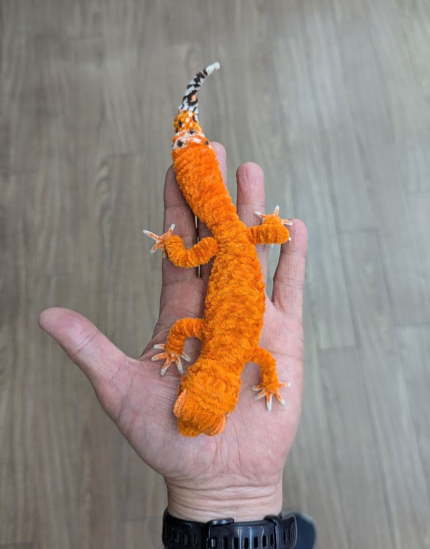 CoCo...オーダー作品モールのレオパ２、アメフクラガエル、ミヤコヒキ